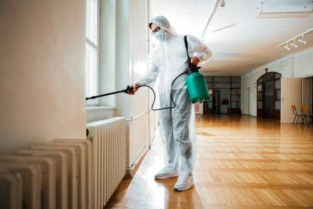 Insect Control in Harris Hill, NY