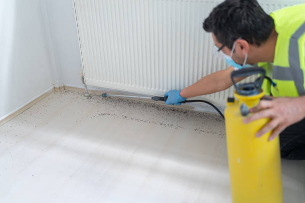 Best Affordable Pest Control Services  in Harris Hill, NY